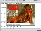 Sports Illustrated Swimsuit Calendar (1994)