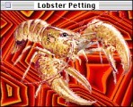 Lobster Petting (1996)