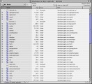 developer.apple.com FTP Archive (a.k.a. ftp.apple.com/developer) (2008-02-01 archive) (2008)