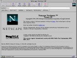 Netscape Navigator 2.x (1996)