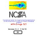 NCSA Image (1991)