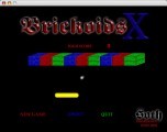 Brickoids X (2002)