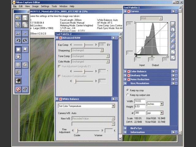 Nikon Capture 3.x (2001)