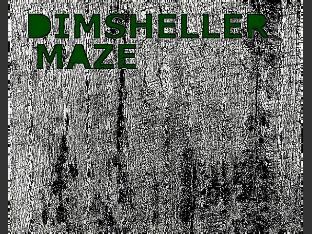 Dimsheller Maze (2022)