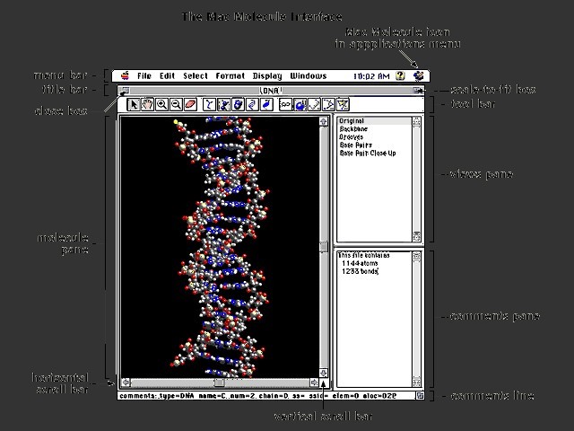 MacMolecule 2 (1997)