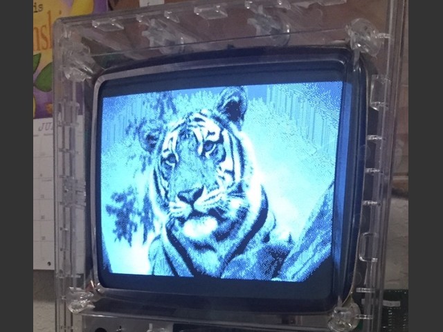 Tiger StartupScreen (1987)