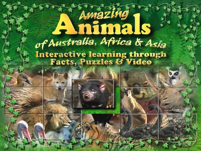 Amazing Animals (2001)