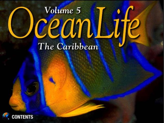 Ocean Life Volume 5: The Caribbean (1996)